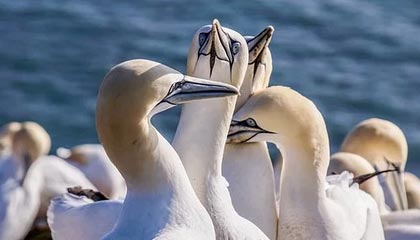 《暗黑破坏神4》第11赛季：高塔与排行榜将于1月12日上线