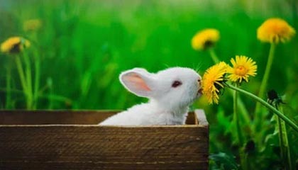 《暗黑破坏神4》第11赛季：高塔与排行榜将于1月12日上线